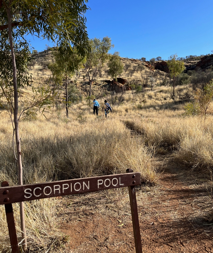 Side track to Scorpion Pool