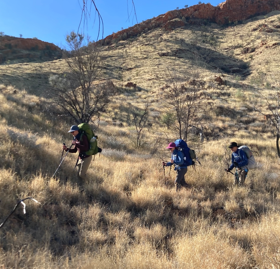 Heading for Bond Gap