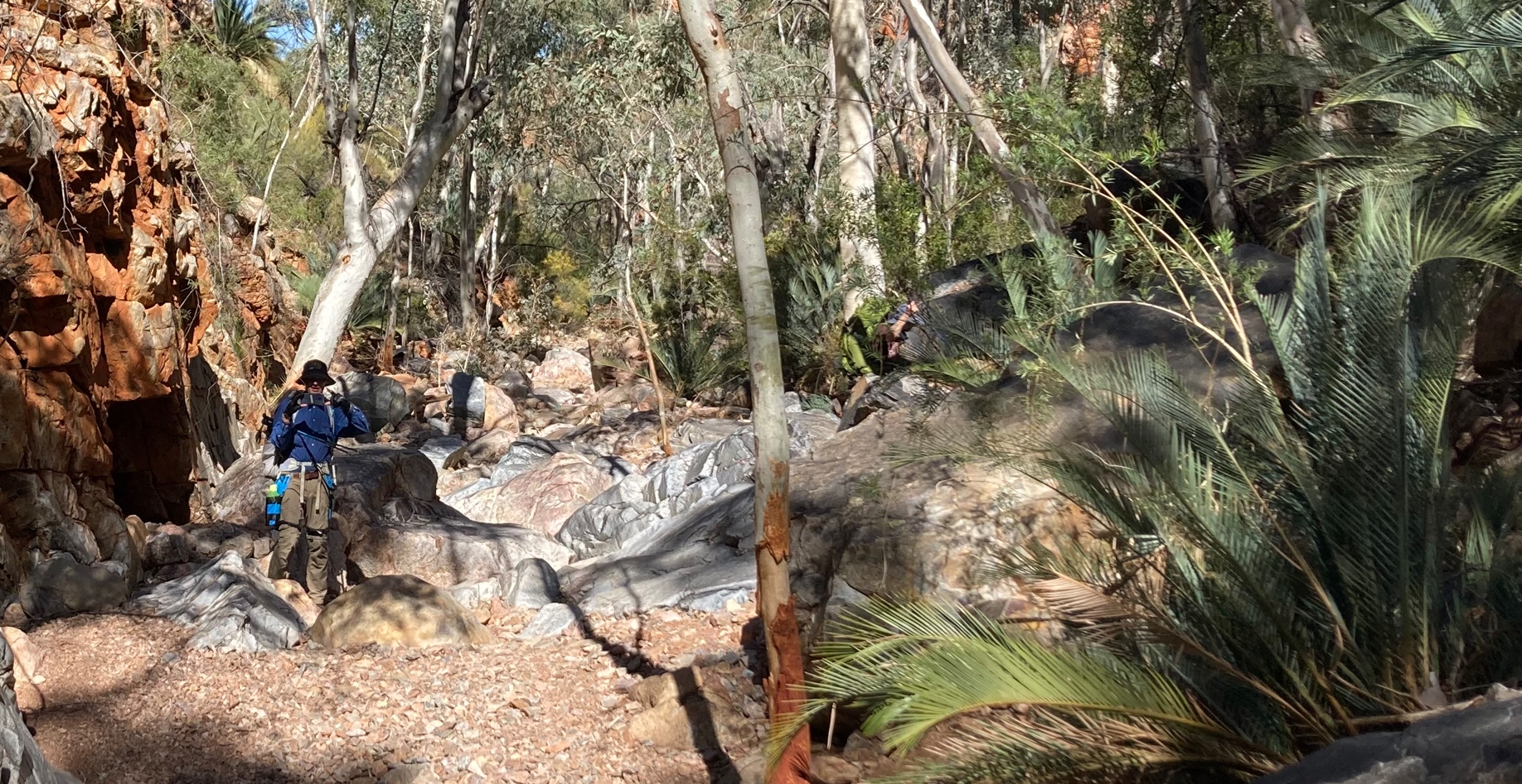Phil and I in the trees and fronds of Spencer.