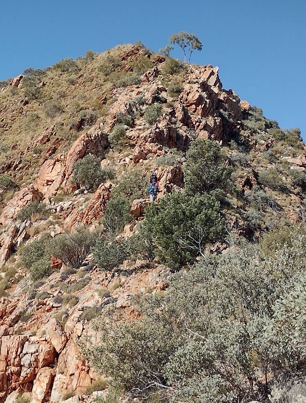 Elise and Phil coming down from Paisley Bluff on to Razorback Ridge.