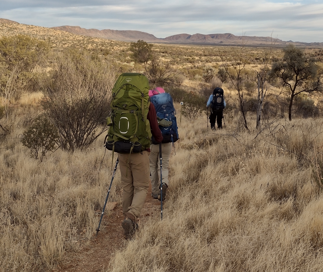 Samwise leading out, followed by Meriadoc and Pippin. What delights does Mordor hold in store today?