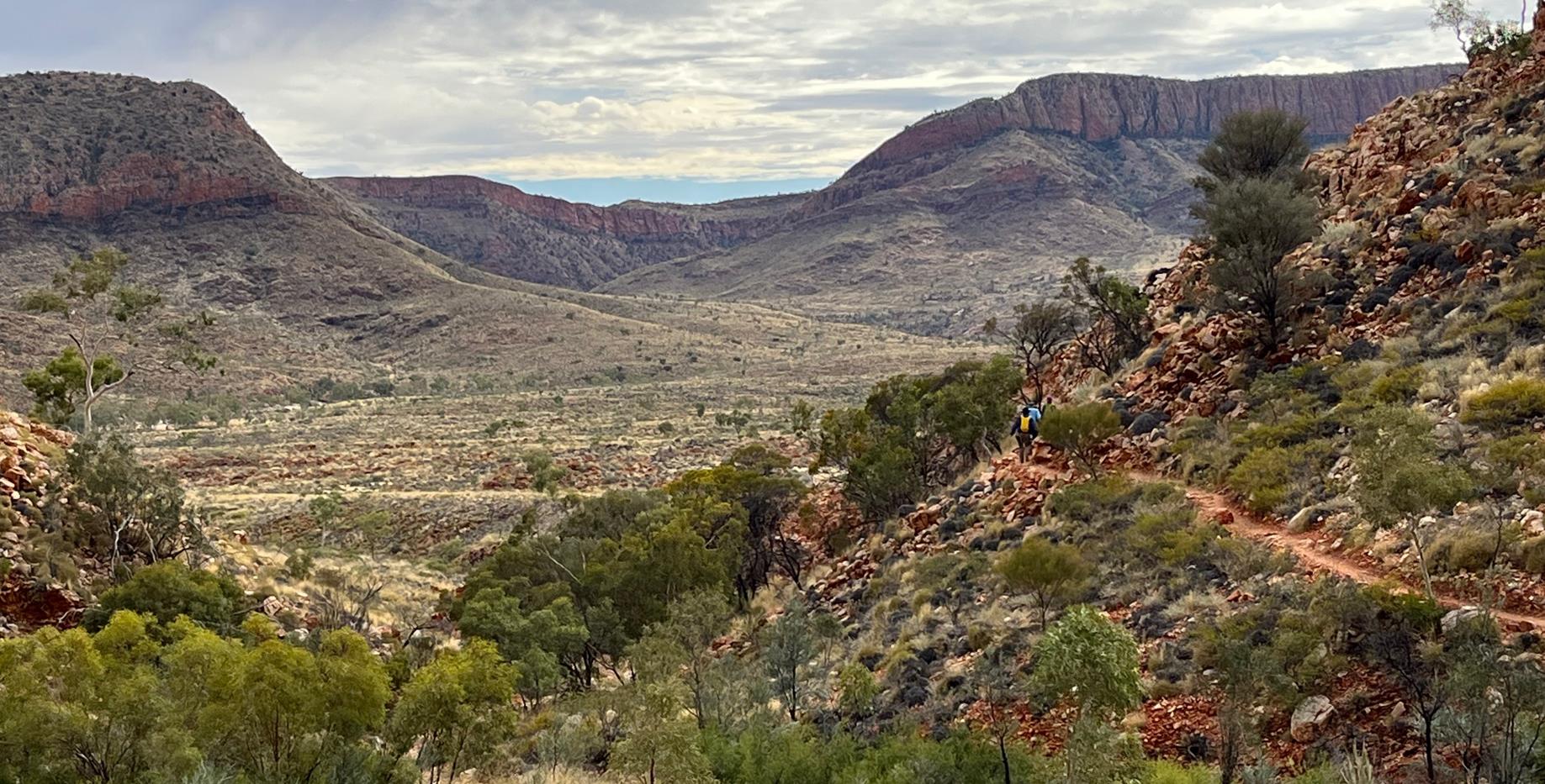 Into the Pound we go.