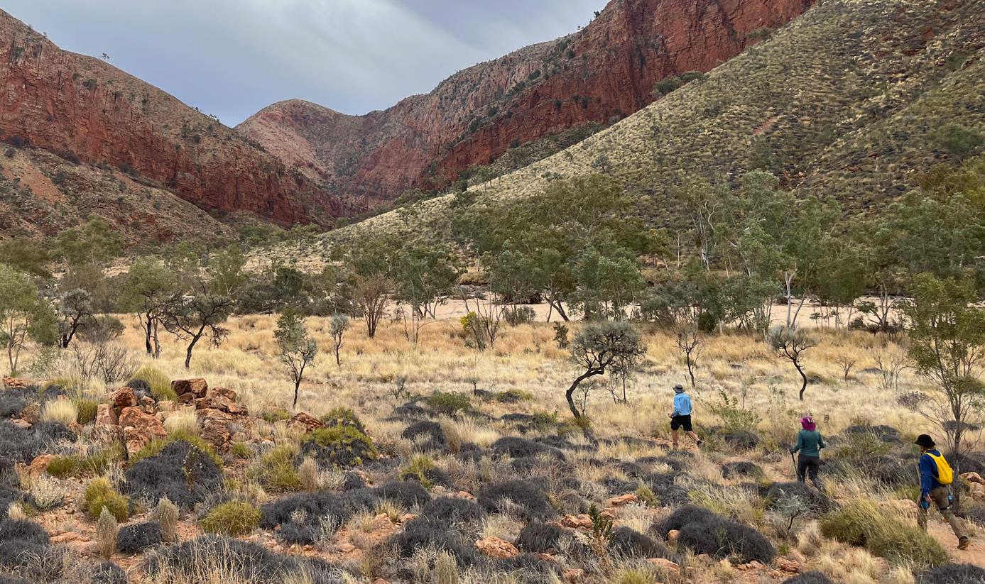 Heading for the Gorge.