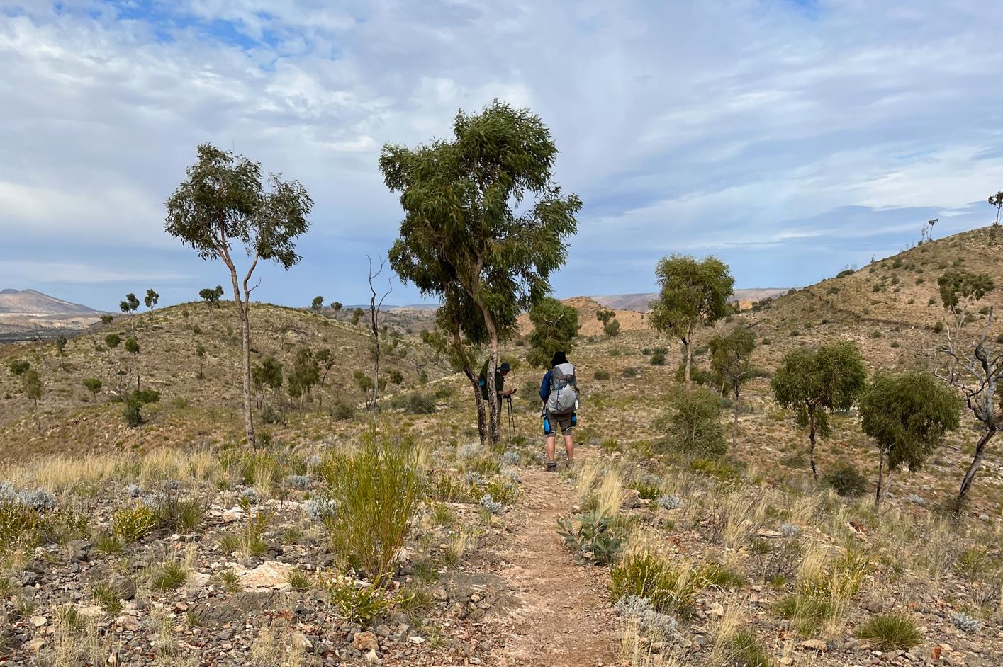 Phil and I in the shade of some Truffulas, mid way between Ormiston and Finke River camp.