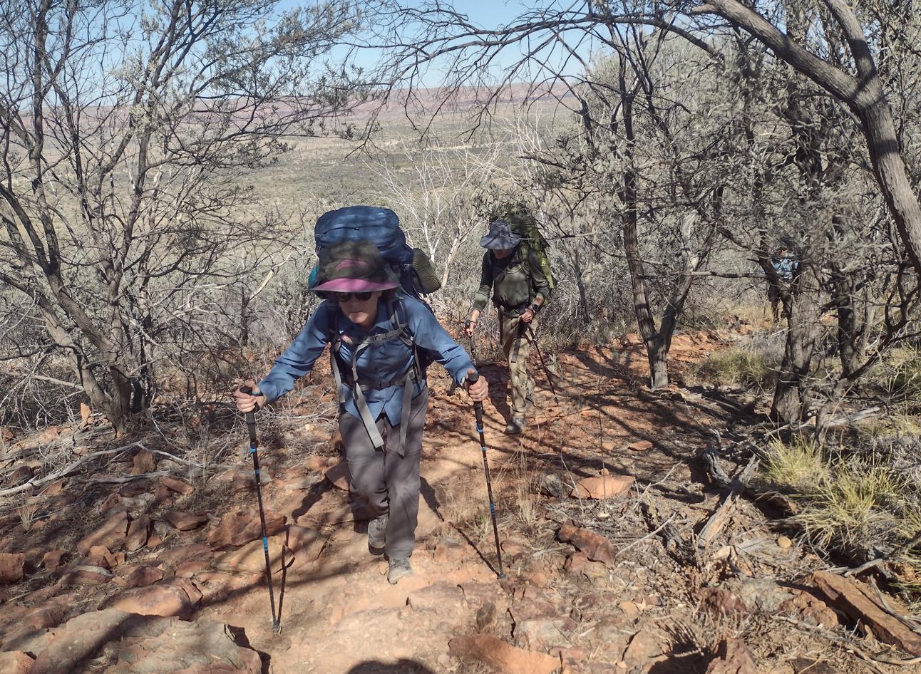 On the climb again. Poles working overtime.