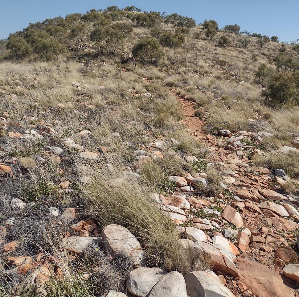 A false summit on the eastern end of the ridge.