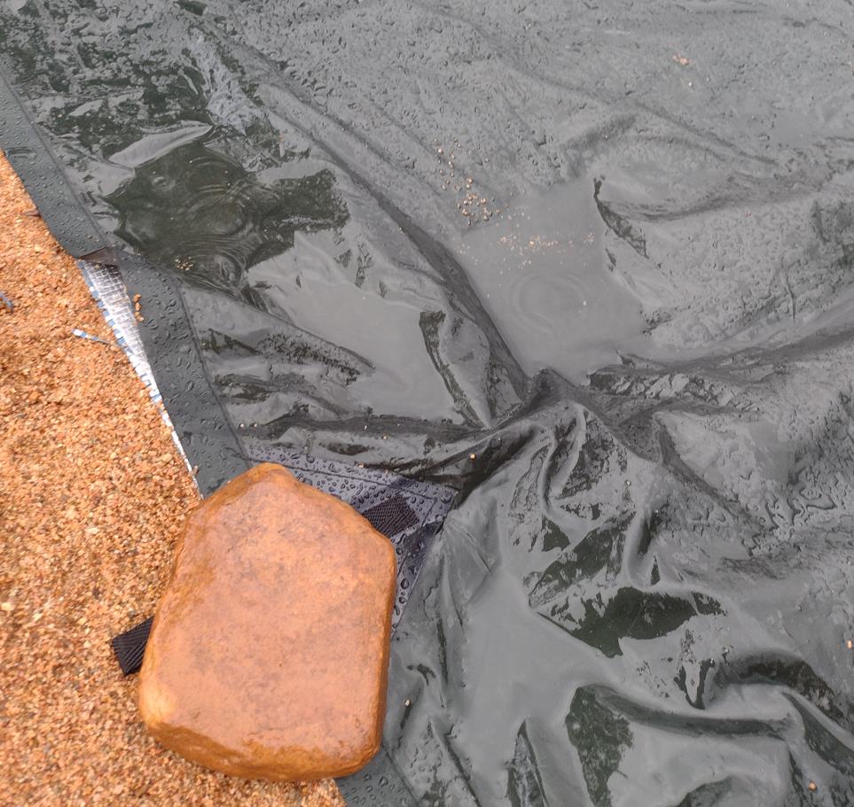 Rain pooled on my tarp.
