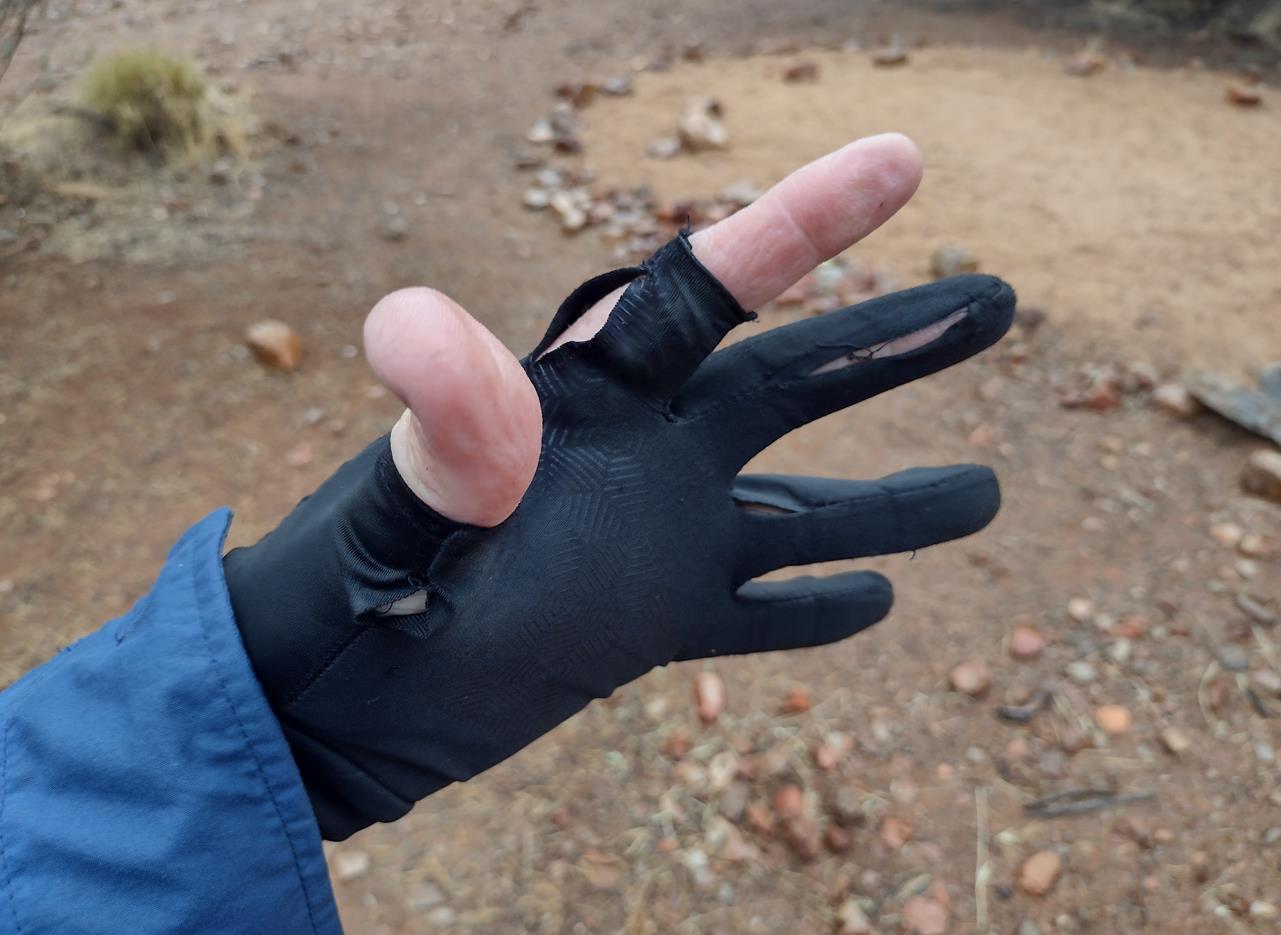 My gloves. I wore them for sun protection. All but had it after two weeks on the Larapinta.