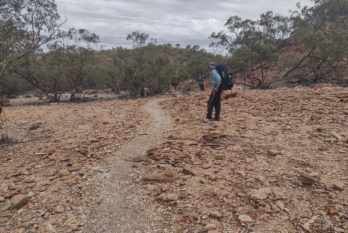 Reference material always seemed to bag the first section out of Alice as being the easiest of the Larapinta. Maybe it was the conditions, but in my mind the leg from Rocky Bar Gap to Redbank Gorge was the least challenging of the whole trail.