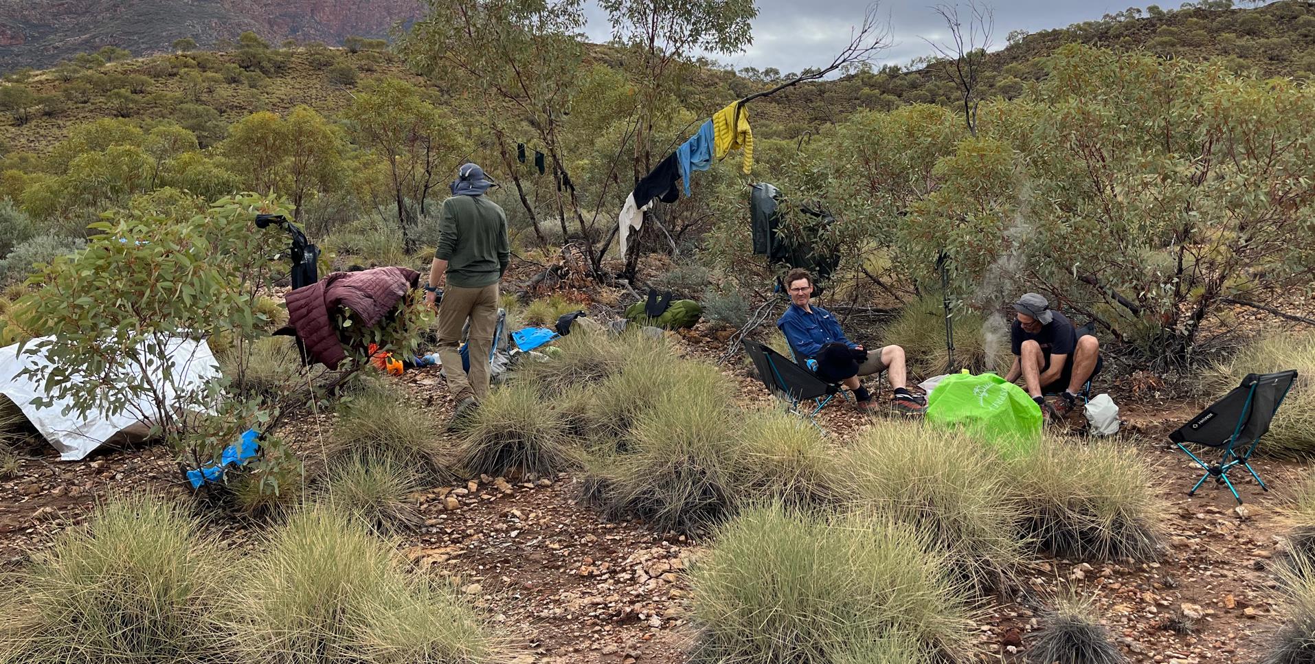 High, wide, and handsome.