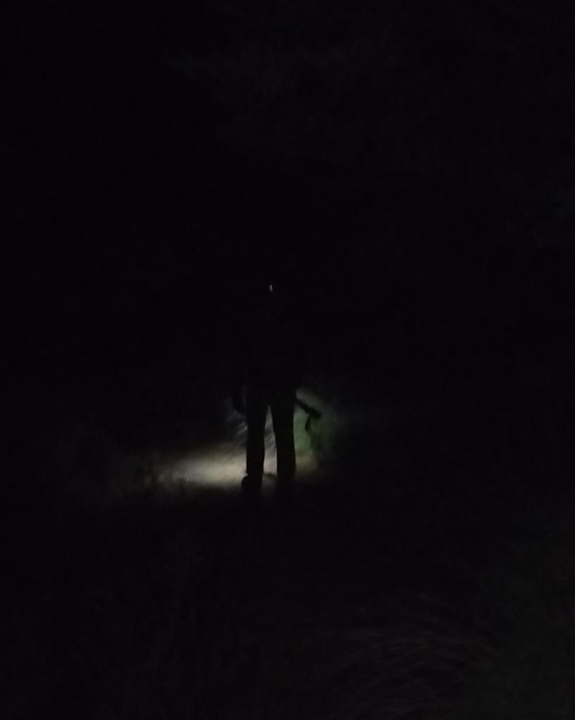 An accurate depiction of the view hiking up Mt Sonder.