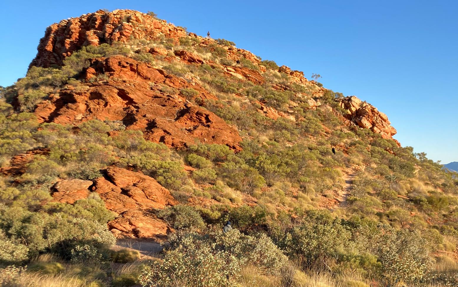 *Of course* it's not all downhill descending Sonder. Phil waiting at the top of this ridge back knoll as we walk the mountain spine.