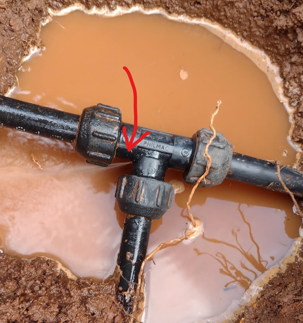 What 300L (80ga) per day looks like